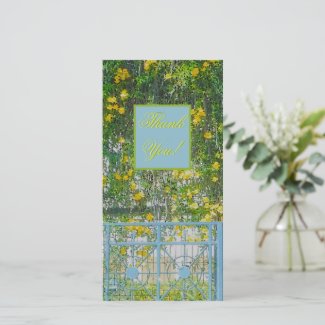 CASCADING YELLOW FLOWERS AND BABY-BLUE GATE