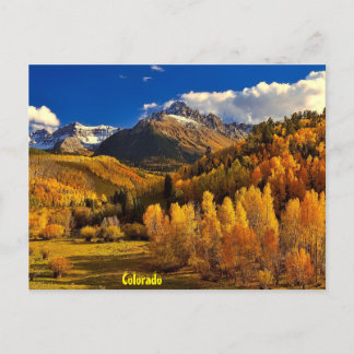 Case in Colorado Postcard