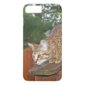 Case-Mate Barely There Plus iPhone 7 Case Kitten