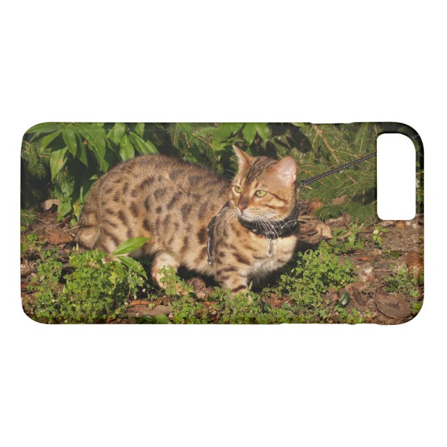 Case-Mate Barely There Plus iPhone 7 Case Kitten (Back (Horizontal))