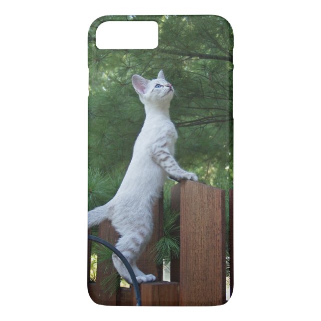 Case-Mate Barely There Plus iPhone 7 Case Kitten (Back)