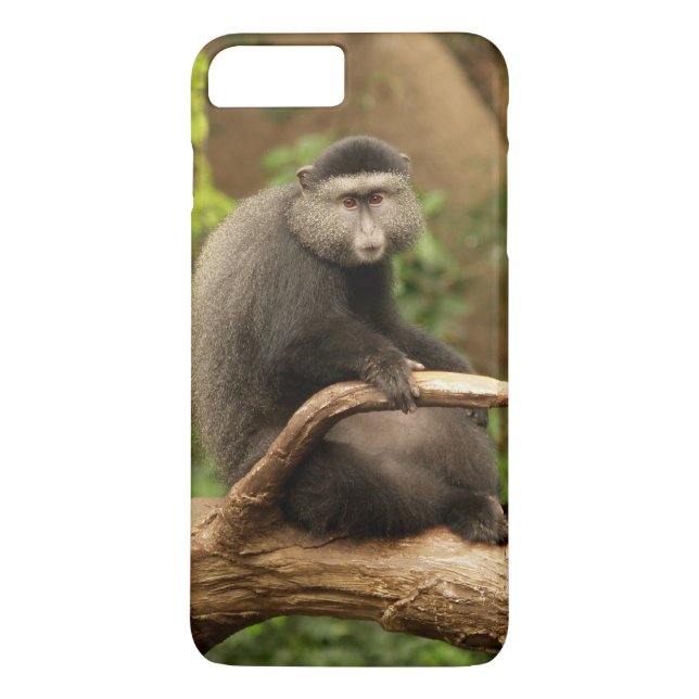 Case-Mate Barely There Plus iPhone 7 Case Monkey (Back)
