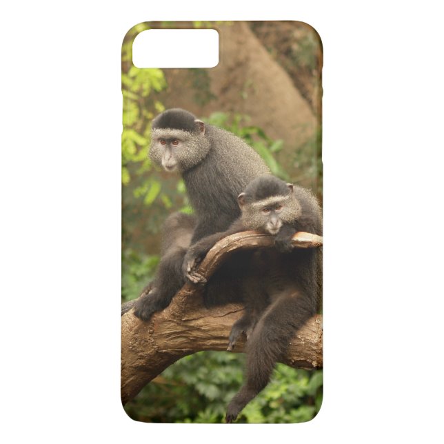 Case-Mate Barely There Plus iPhone 7 Case Monkeys (Back)
