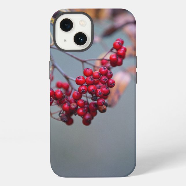 Case-Mate Tough Apple iPhone 13 Case (Back)