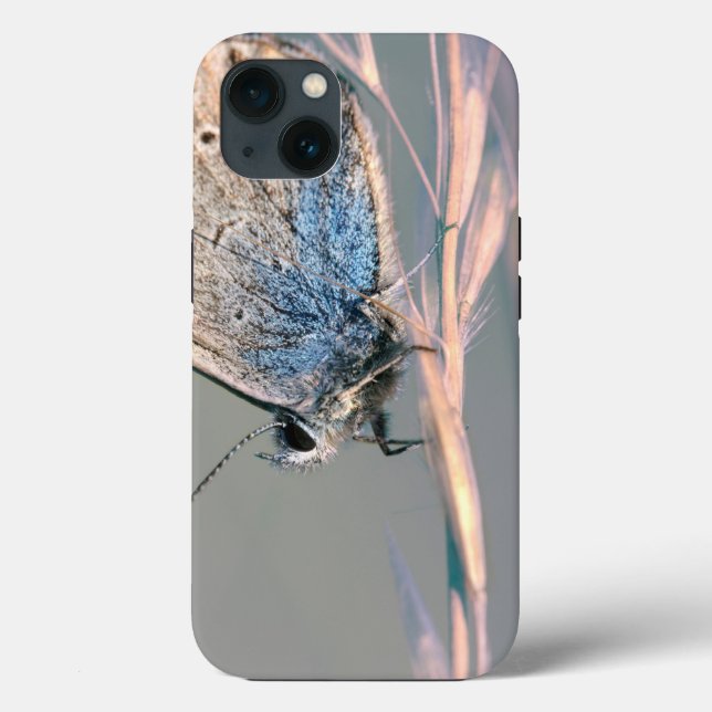 Case-Mate Tough Apple iPhone 13 Case (Back)