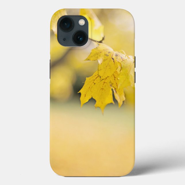 Case-Mate Tough Apple iPhone 13 Case (Back)
