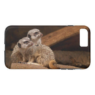 Case-Mate Tough Plus iPhone 7 Case Meerkat