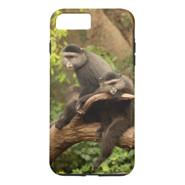 Case-Mate Tough Plus iPhone 7 Case Monkeys (Back)