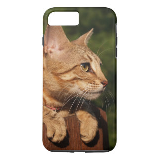 Case-Mate Tough Plus iPhone 7 Case Savannah Kitten