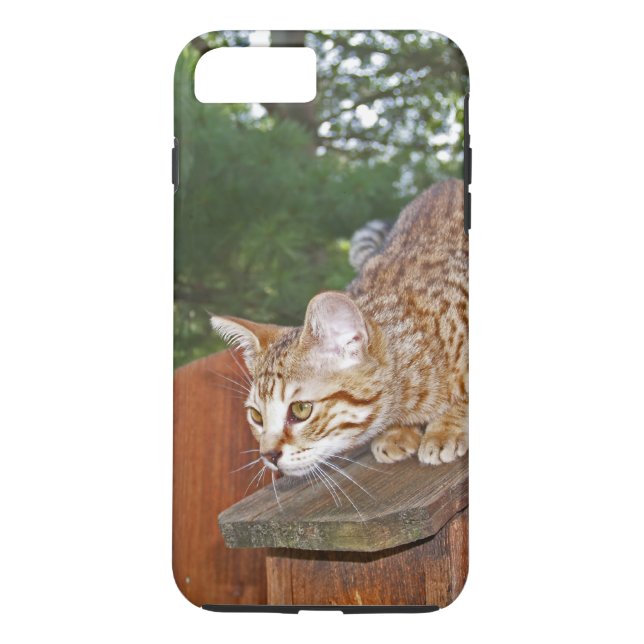 Case-Mate Tough Plus iPhone 7 Case Savannah Kitten (Back)