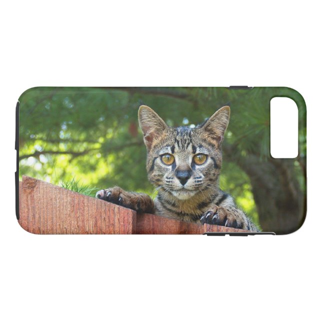 Case-Mate Tough Plus iPhone 7 Case Savannah Kitten (Back (Horizontal))