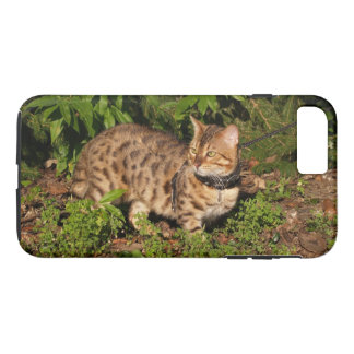 Case-Mate Tough Plus iPhone 7 Case Savannah Kitten