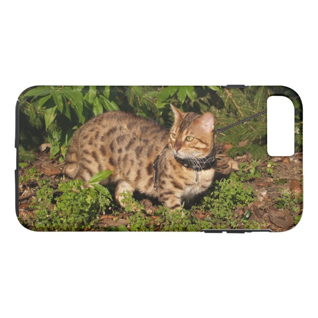 Case-Mate Tough Plus iPhone 7 Case Savannah Kitten (Back (Horizontal))