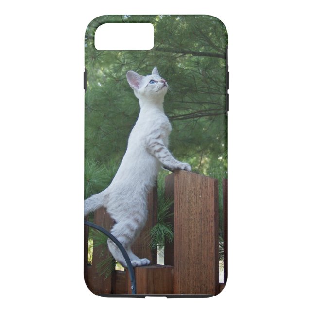 Case-Mate Tough Plus iPhone 7 Case White Kitten (Back)