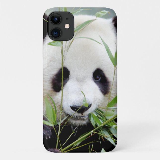 Case Photo giant panda, panda geant , animals. (Back)