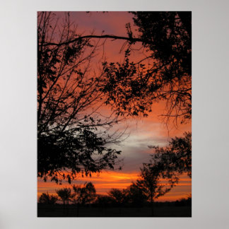 case poster