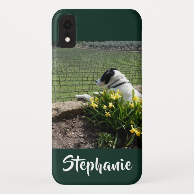 Casemate Dog and Grape Vines iPhone XR XS Max Case-Mate iPhone Case (Back)