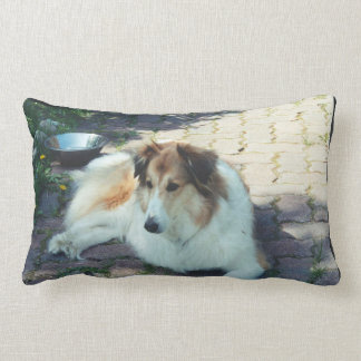 Casey collie lumbar pillow