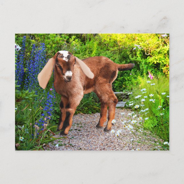 "Casey" Postcard (Front)