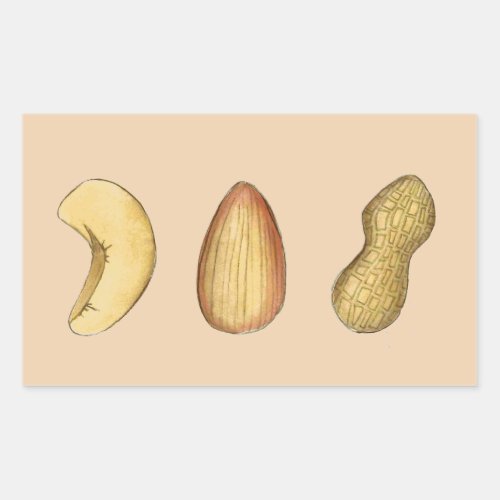 Cashew Almond Peanut Nut Nutty Nuts Stickers