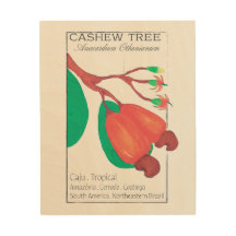 Cashew Tree