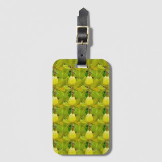 Cashew Tropical Fruit Pattern