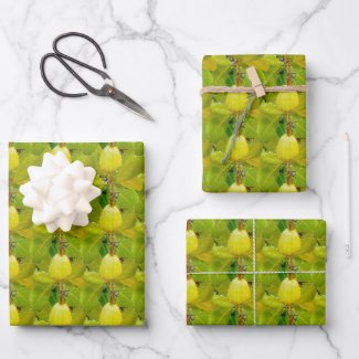 Cashew Tropical Fruit Pattern