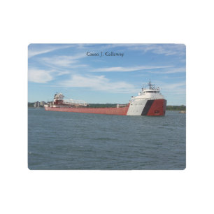 Cason J. Callaway Metal wall art
