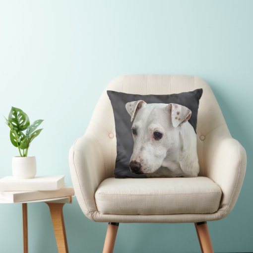 Casper the Dog Throw Pillow Zazzle