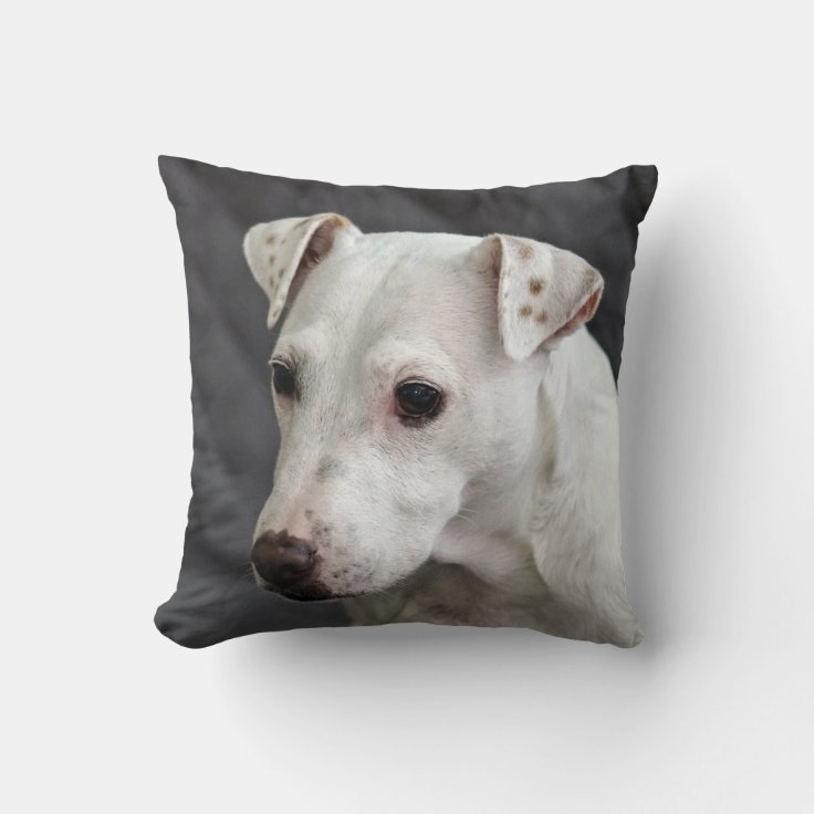 Casper the Dog Throw Pillow Zazzle