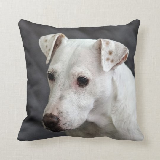 Casper the Dog Throw Pillow