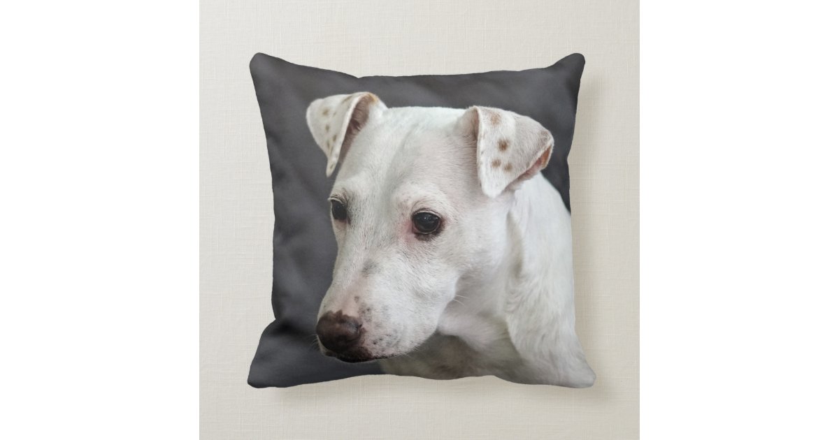 Casper the Dog Throw Pillow
