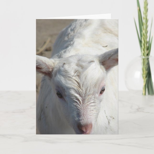 Casper the Friendly Goat Card (Front)