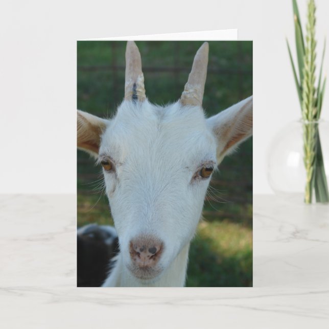 Casper The Goat Card (Front)