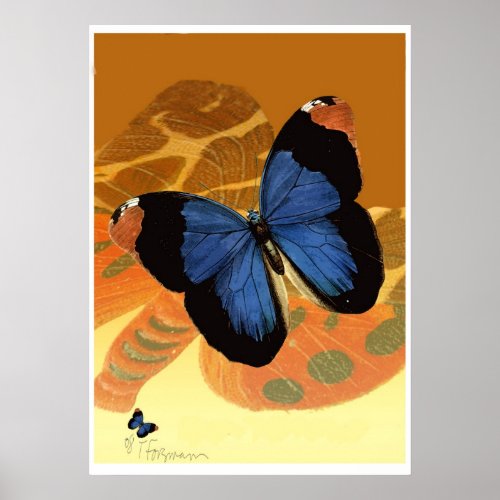 Caspian Blue Butterflies on orange cream wings Poster