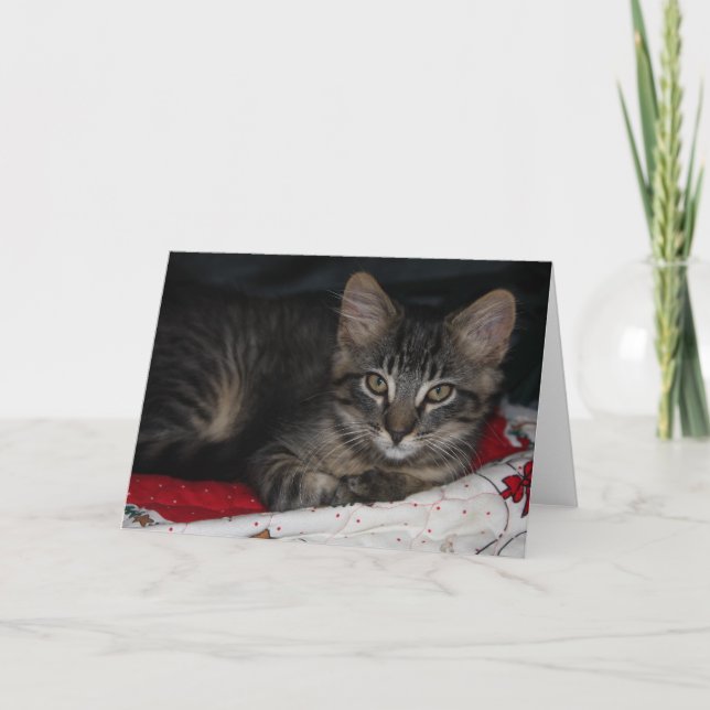 Caspian Christmas Blank Greeting Card (Front)