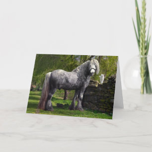 "Caspian & His Cats" Greeting Card