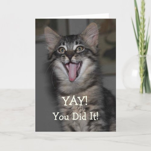 Caspian Kitten Graduation Card