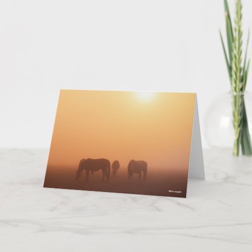 Caspian Ponies Grazing In Mist Sunrise Card