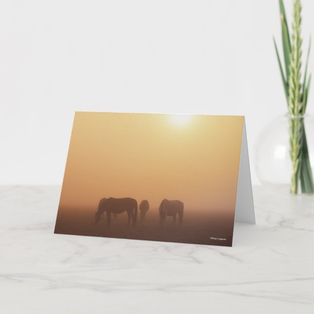 Caspian Ponies Grazing In Mist Sunrise Card (Front)
