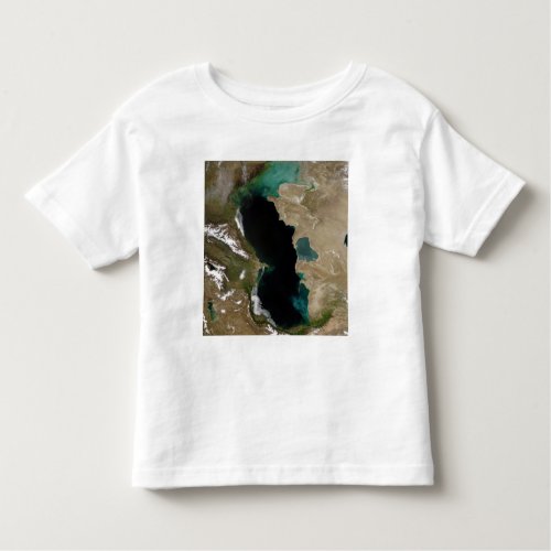 Caspian Sea Toddler T_shirt