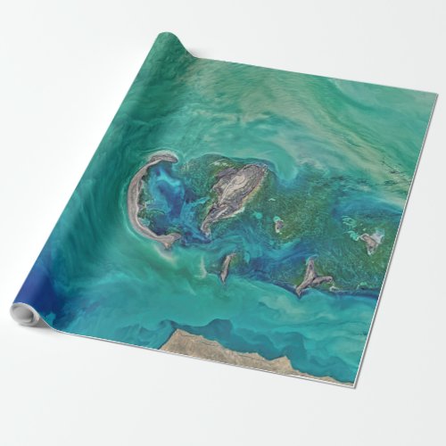 caspian sea wrapping paper