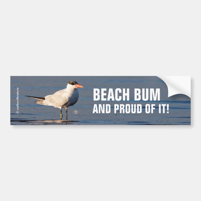 Caspian Tern at the Beach Bumper Sticker (Front)