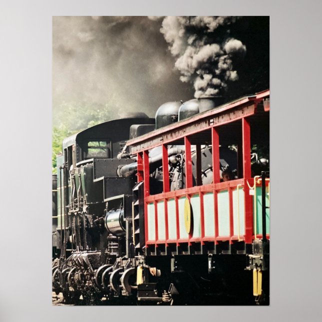 "Cass Scenic Railroad" - Photograph Poster (Front)