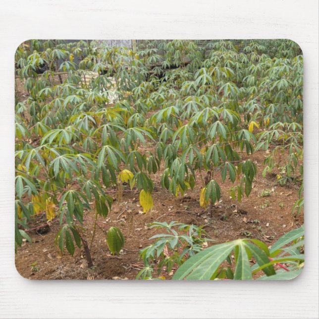 Cassava Plantation Mouse Pad (Front)