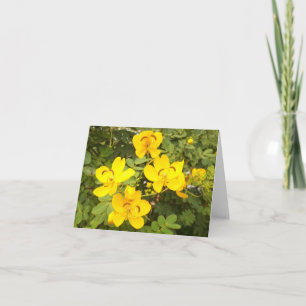 Cassia Flower Photo Folded Note Card