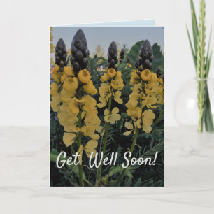 CASSIA GET WELL CARD - JOURNEY FOR A CURE