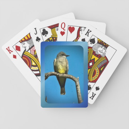 Cassins Kingbird Playing Cards