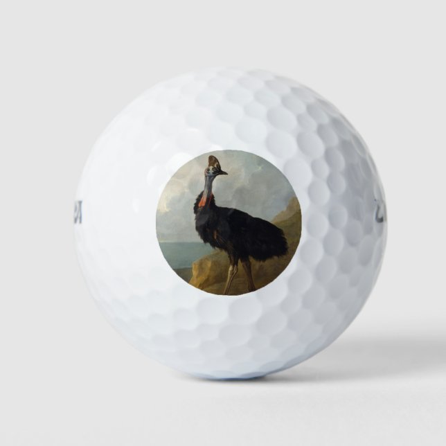 Cassowary (Australian Bird) (Wild Animal Art) Golf Balls (Front)