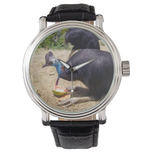 Cassowary Bird Enjoying Melons, Watch